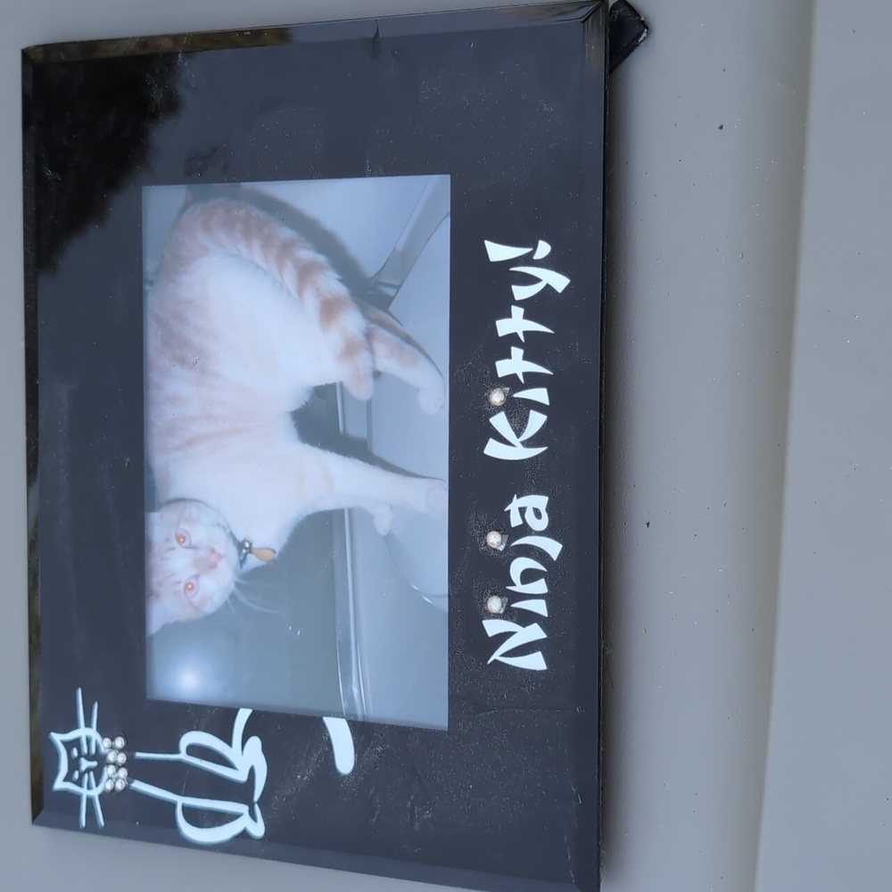 Ninja Kitty Black and White Cat Photo Frame Set - Picture 2 of 3